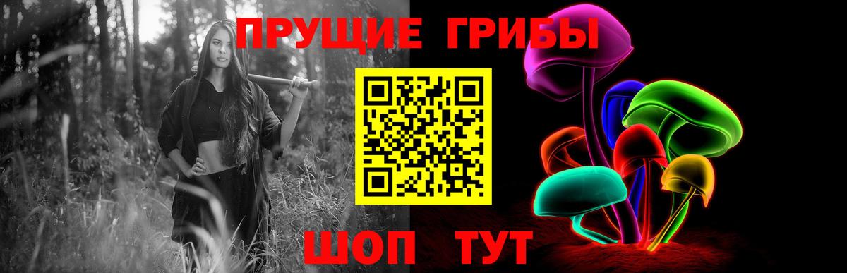 Псилоцибиновые грибы прущие грибы Владимир